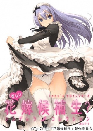 Tony s Heroine Series: Kanojo wa Hanayome Kouhosei? Cinderella Collection